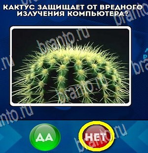 Игра Да или Нет ответы Уровень 4487
