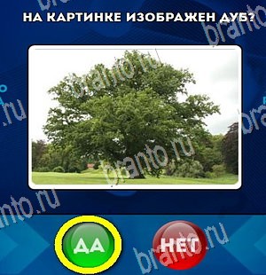 Игра Да или Нет подсказки Уровень 4488