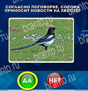 Да или Нет игра ответы Уровень 4493
