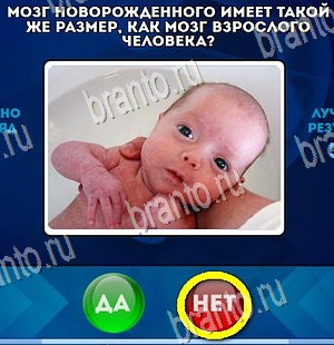Да или Нет игра подсказки Уровень 4494