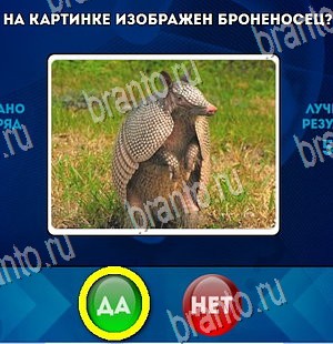 Да или Нет ответы в картинках Уровень 4496