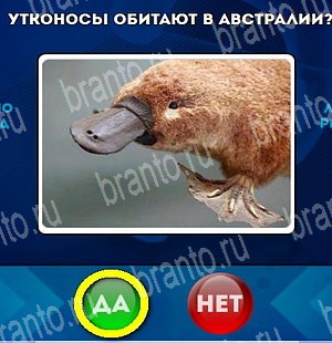 Подсказки на игру Да или Нет Уровень 4502
