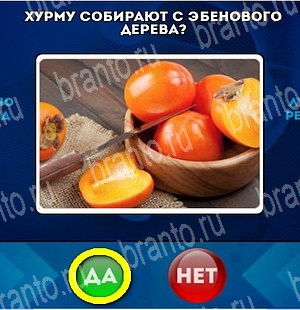 Да или Нет игра подсказки Уровень 4524