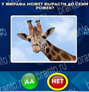 ответы на игру Да или Нет в одноклассниках Уровень 4531