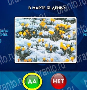 Одноклассники Да или Нет ответы Уровень 4538