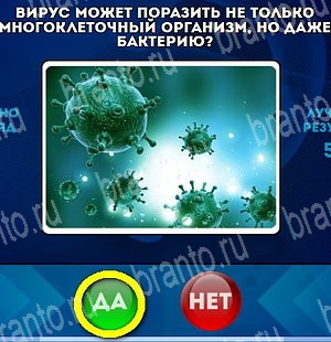игра Да или Нет помощь Уровень 4579