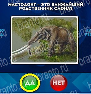 Подсказки на игру Да или Нет Уровень 4592