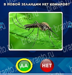 ответы к игре Да или Нет Уровень 4595