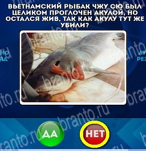 Да или Нет игра помощь Уровень 4605