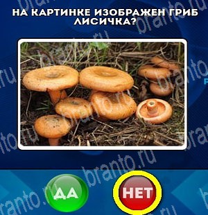 Да или Нет игра подсказки Уровень 4614