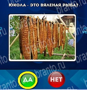 Решения на игру Да или Нет Уровень 4623
