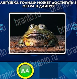 Да или Нет подсказки в контакте Уровень 4629