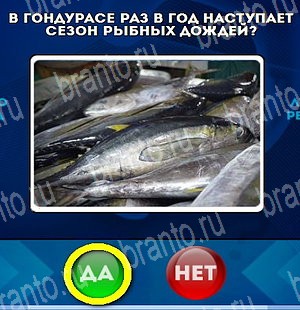 игра Да или Нет ответ на Уровень 4630