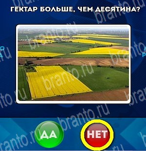 Да или Нет решения Уровень 4632