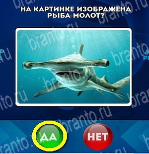 Да или Нет игра помощь Уровень 4635