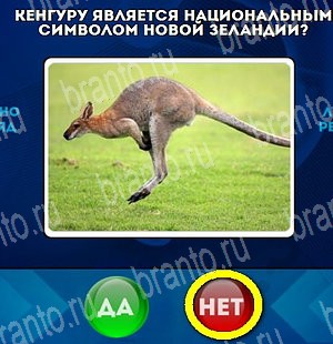 Да или Нет ответы в картинках Уровень 4636