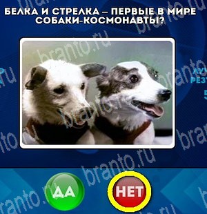 игра Да или Нет помощь Уровень 4649