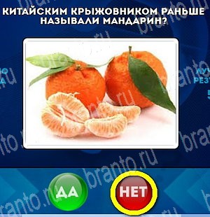 Да или Нет игра ответы в одноклассниках Уровень 4657