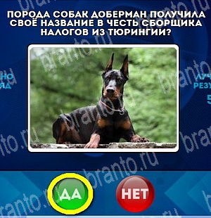 Да или Нет подсказки в контакте Уровень 4659