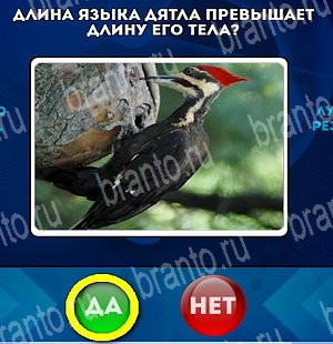 Да или Нет игра подсказки Уровень 4664