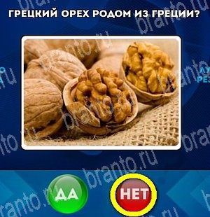 Да или Нет игра подсказки Уровень 4674
