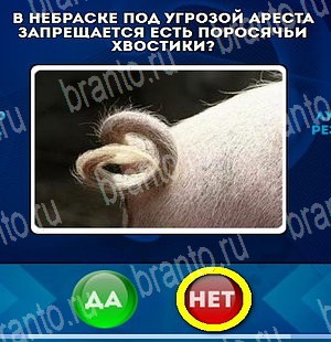 ответы на игру в одноклассниках Да или Нет Уровень 4686