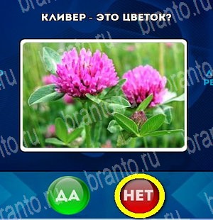 Да или Нет игра ответы в одноклассниках Уровень 4687