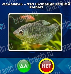 Одноклассники Да или Нет ответы Уровень 4688