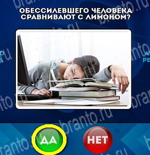 игра Да или Нет ответ на Уровень 4690