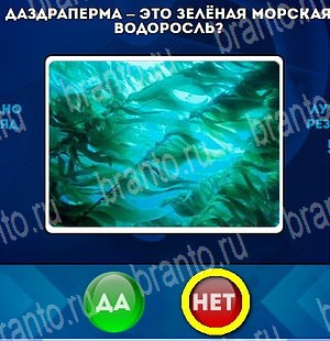 Да или Нет ответы в картинках Уровень 4696