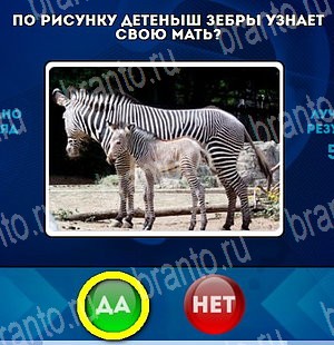 игра Да или Нет помощь Уровень 4699