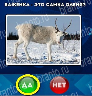 решебник на игру Да или Нет Уровень 4701