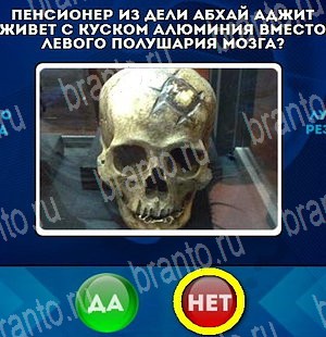 Подсказки на игру Да или Нет Уровень 4712