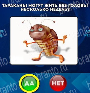 Решения на игру Да или Нет Уровень 4713