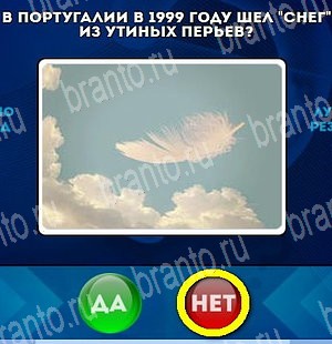 Да или Нет игра ответы в одноклассниках Уровень 4717