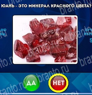 игра Да или Нет ответ на Уровень 4720