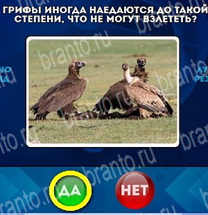 Да или Нет игра подсказки Уровень 4724