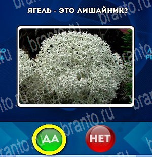 Да или Нет подсказки в контакте Уровень 4749