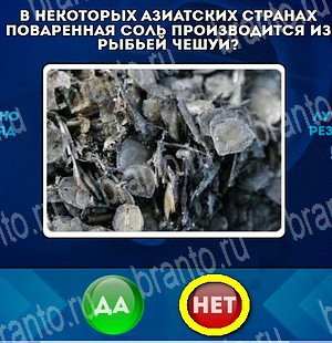решебник на игру Да или Нет Уровень 4751