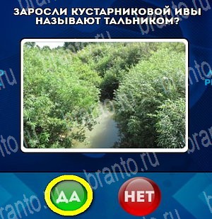 Да или Нет игра помощь Уровень 4755