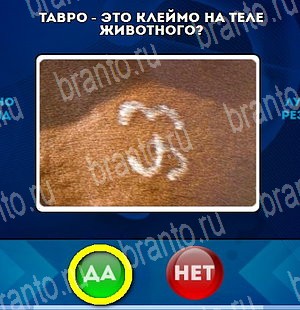 игра Да или Нет ответ на Уровень 4760