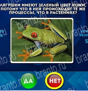 Да или Нет игра помощь Уровень 4765