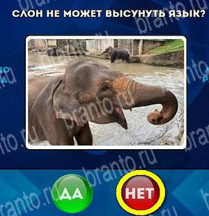 Да или Нет ответы в картинках Уровень 4766