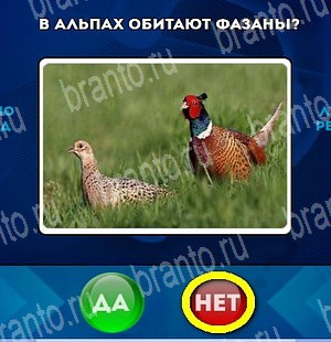 Игра Да или Нет ответы Уровень 4787