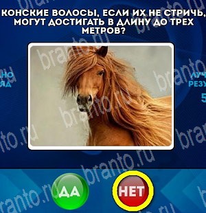Игра Да или Нет ответы Уровень 4797