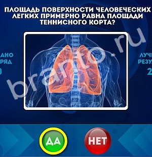 ответы на игру Да или Нет в одноклассниках Уровень 391