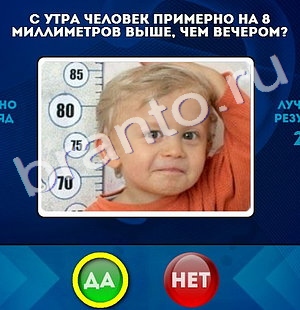 Помощь на игру ВК Да или Нет Уровень 394