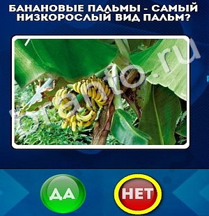 ответы на игру в одноклассниках Да или Нет Уровень 396