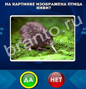 Да или Нет игра ответы в одноклассниках Уровень 397