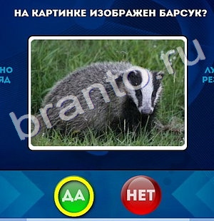 Одноклассники Да или Нет ответы Уровень 398